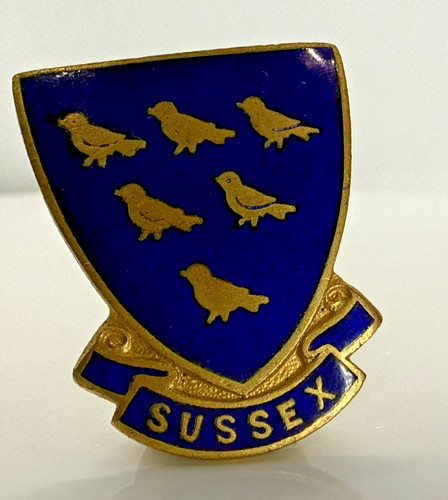 Vintage badge sussex blue - vintage,