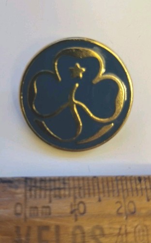 Vintage girl guide promise - girl,