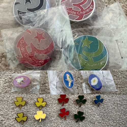 Vintage girl guides - girl, metal
