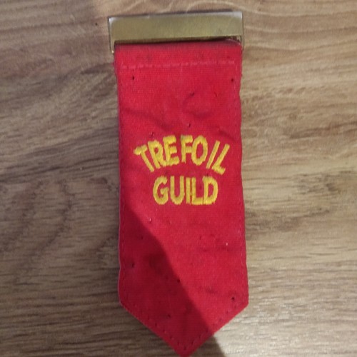 Vintage girl guides - vintage,