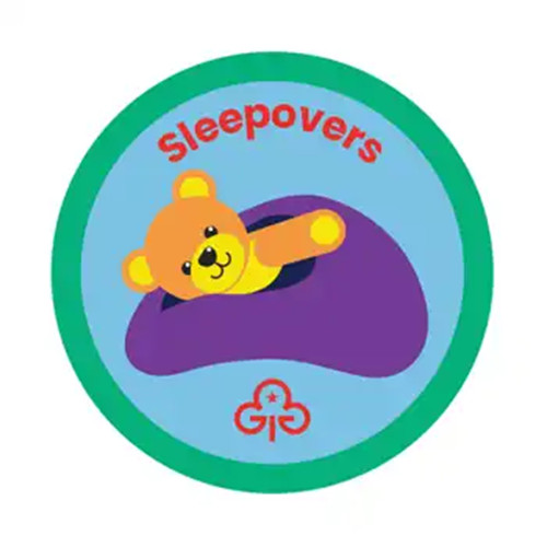 Brownie girl guide badge - guide,