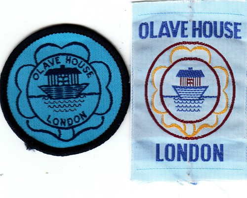 Girl guide badges circular - girl,