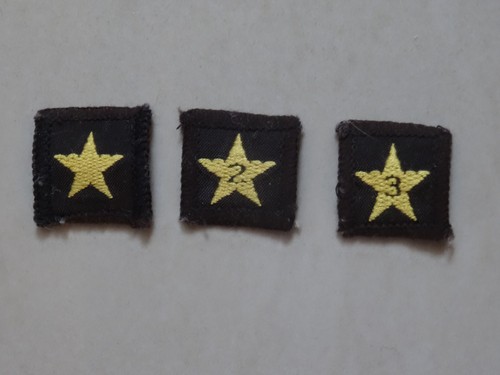 Girl guides brownie - brownie, 2
