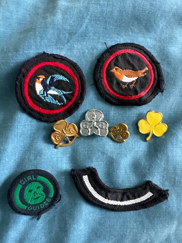 Vintage girl guides - vintage,