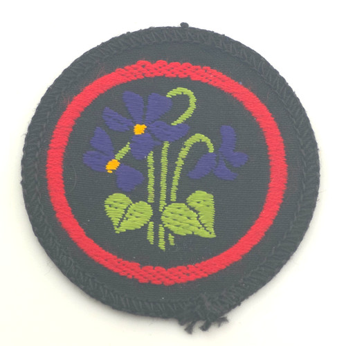 Rare girl guides - girl,