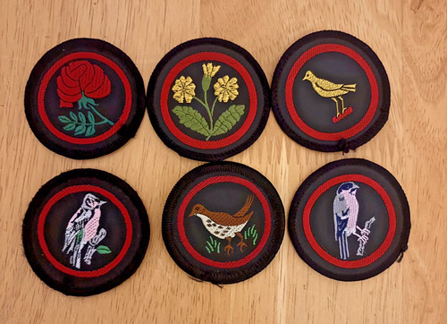 Set girl guides bird - set,