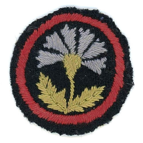 Early rare felt girl guides - early,