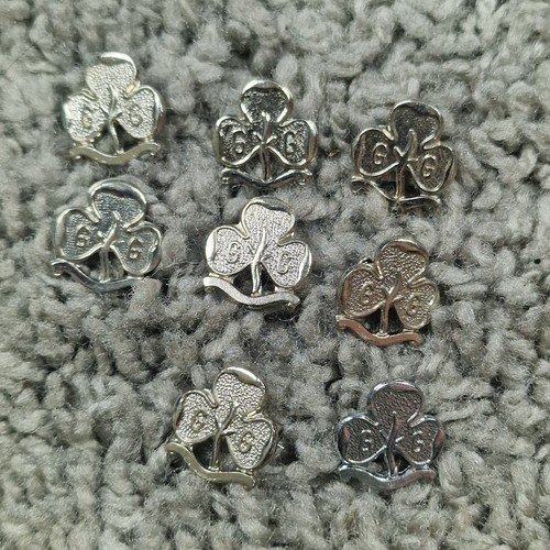 Girl guides silver - girl, tone