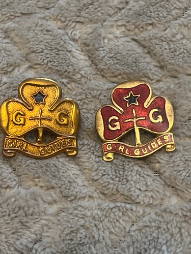 Girl guides badges - 2,