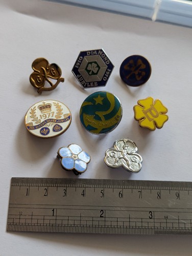 Vintage girl guides pin - girl,