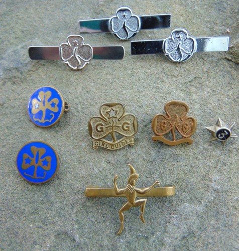 Girl guides world pre post - pre,