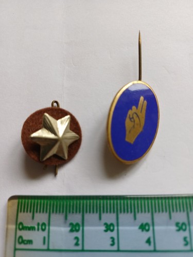 Girl guide badges - guide,