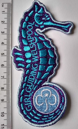 Girlguiding welshpool seahorse - welshpool,