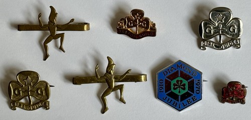 Girl guides pin badges 1960 - guides,