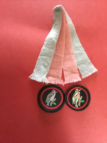 Girl guide badges - girl,