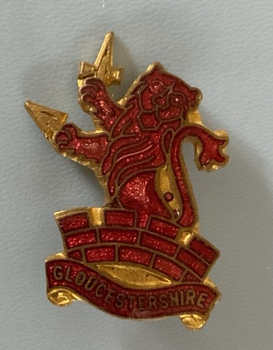 Girl guides county - guides,